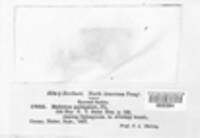 Image Associated With the Occurence